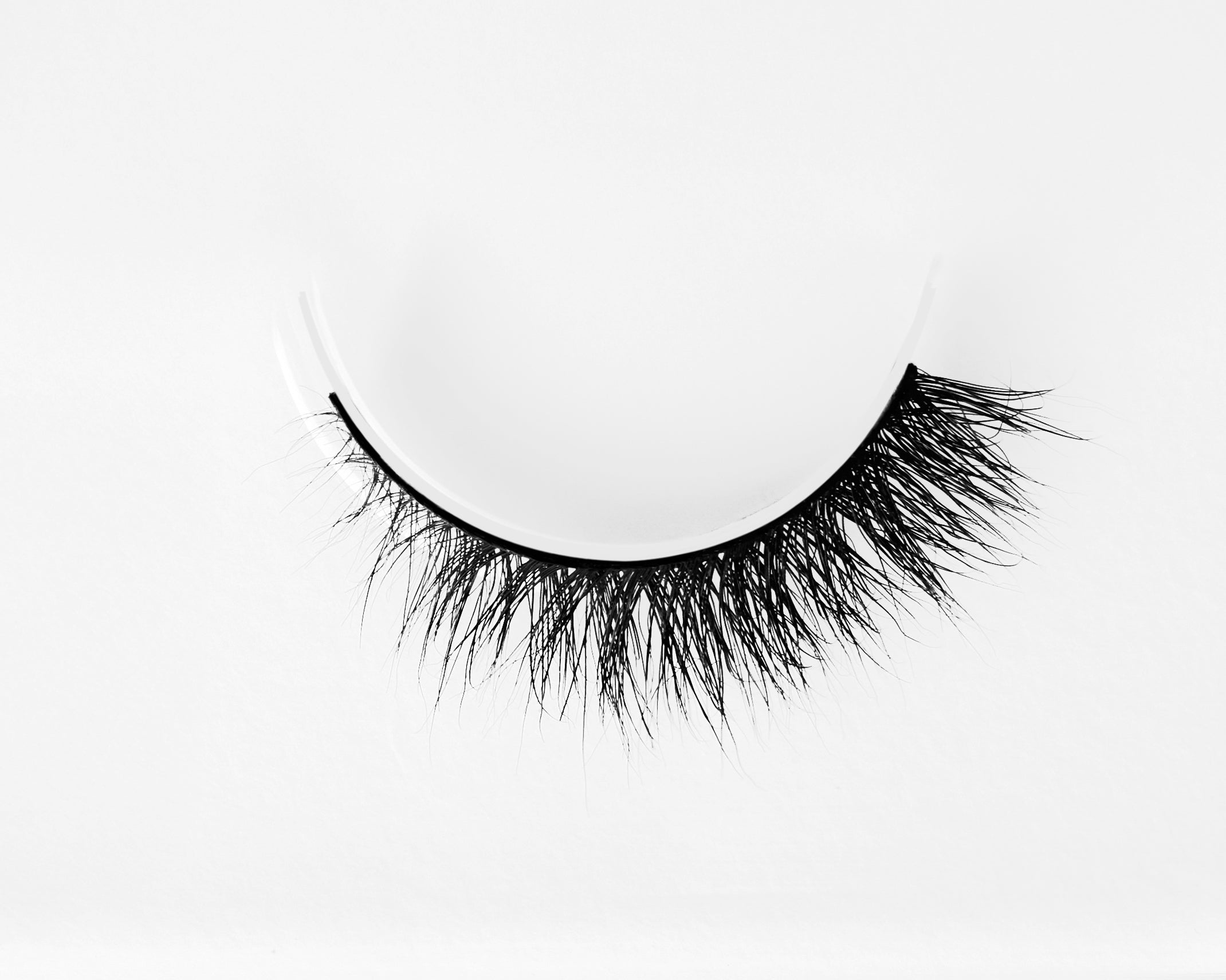 Lash 116 / HM88