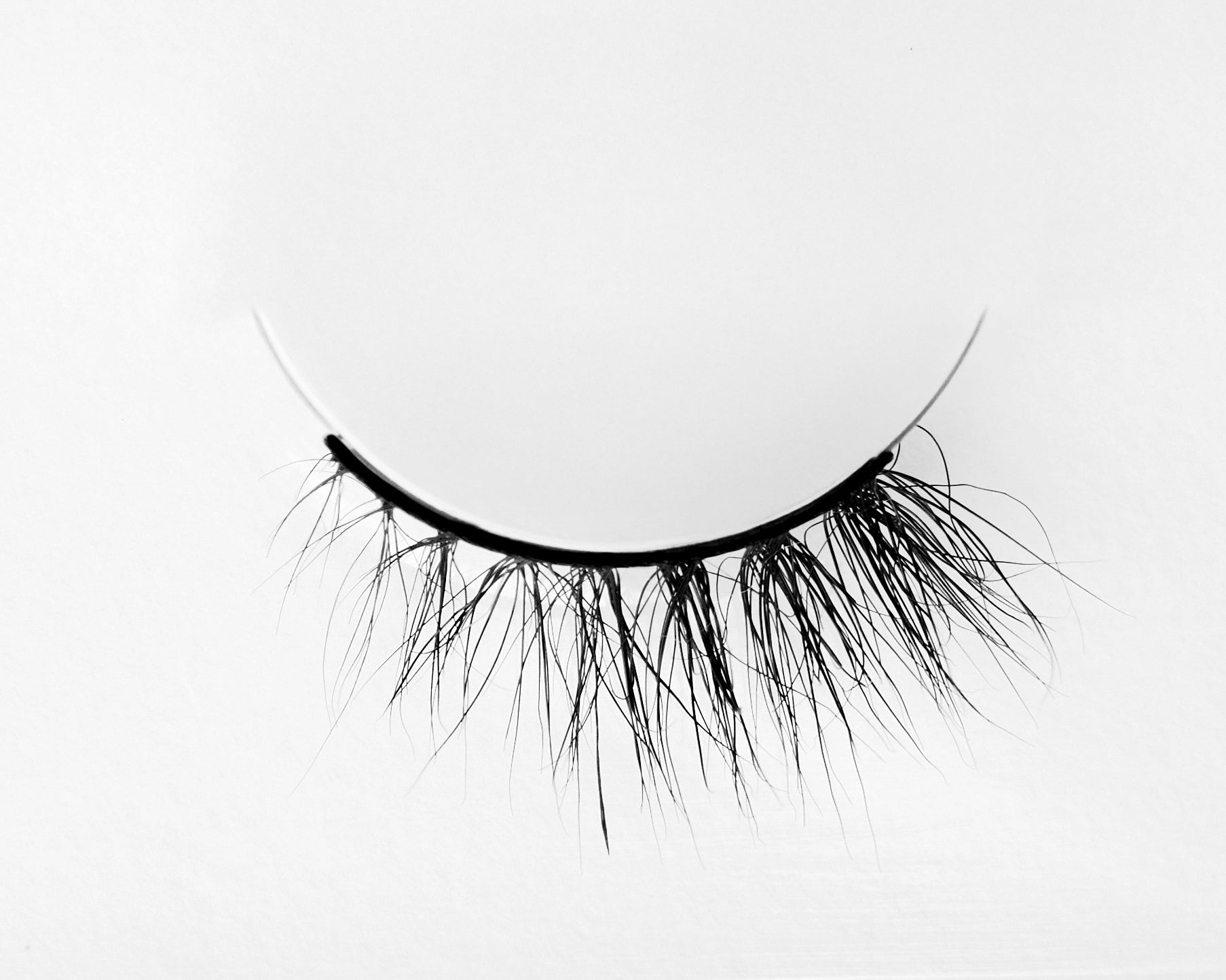 Lash 207 / S119